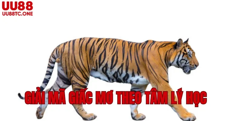 Giải mã giấc mơ theo tâm lý học