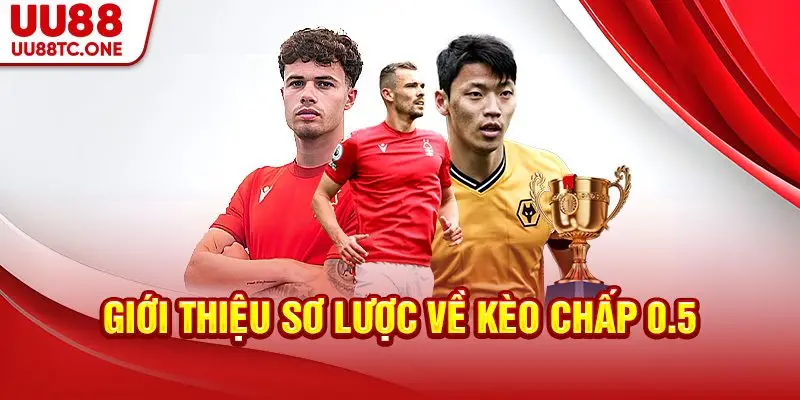 Giới thiệu sơ lược về kèo chấp 0.5
