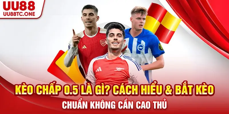 Kèo Chấp 0.5 Là Gì? Cách Hiểu & Bắt Kèo Chuẩn Không Cần Cao Thủ