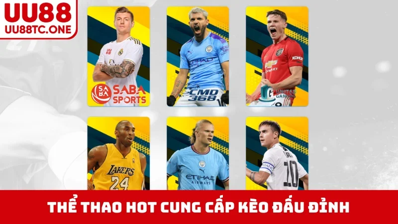 Thể thao hot cung cấp kèo đấu đỉnh
