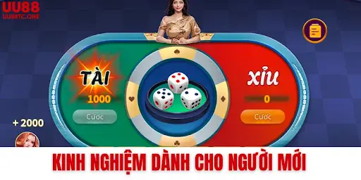 Kinh nghiệm dành cho người mới
