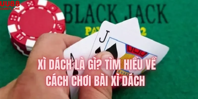 Xì dách là gì tìm hiểu về cách chơi bài xì dách